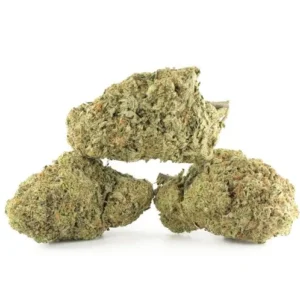 Girl Scout Cookies